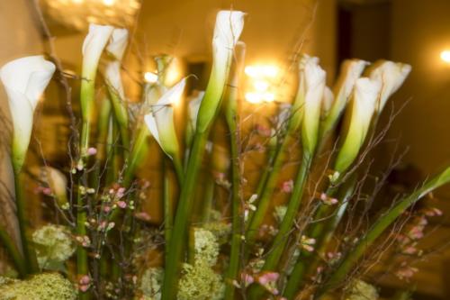 OSR / Concert de l'An / 10 janvier 2022