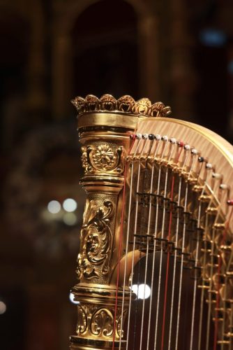 Concert de l'An 2026 © Anne du Chastel