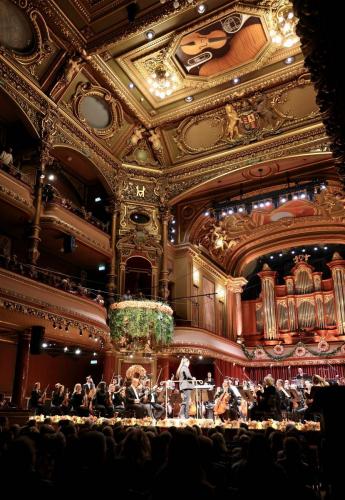 0Y0A7132 - © Anne du Chastel / Amis de l'OSR